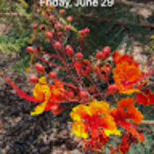 Meet your Posher, Tamara